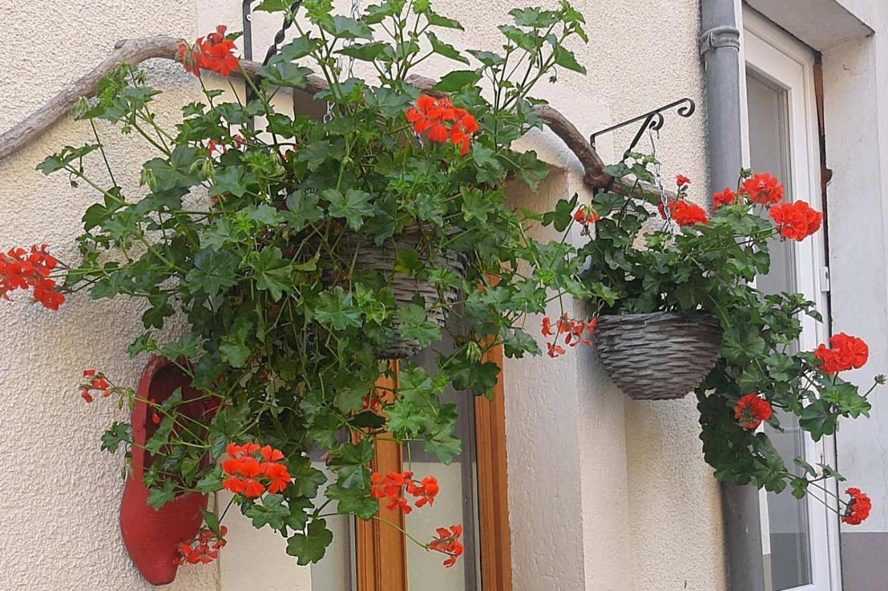 Golden Lion in Bouillon, Région de Neufchâteau
