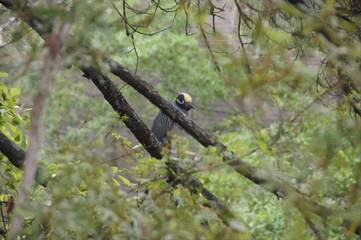 Villa for 8 Guests in South Carolina Lowcountry, South Carolina, Picture 3