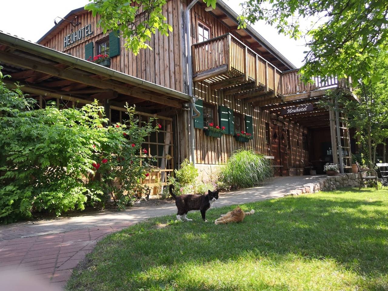 Ferienhof Trapp - Roggenkammer in Dahlenburg, Nordheide