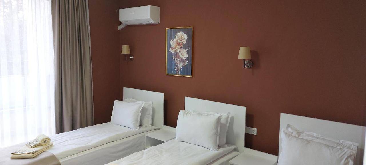 Aleksandar - luxury stay private guest rooms in Gotsé Deltchev, Blagoevgrad (oblast)