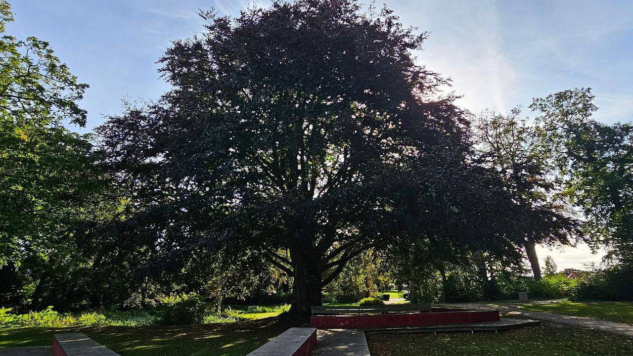 Ferienhaus für 6 Personen (50 m²) in Stubbekøbing in Stubbekøbing, Schwedische Ostsee