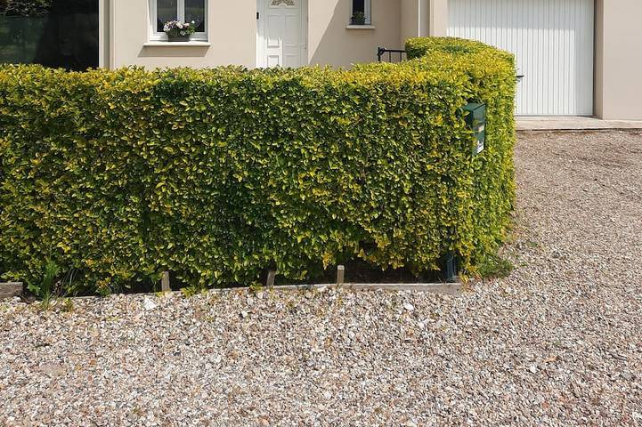 Maison de vacances pour 6 personnes, avec jardin et terrasse - 1