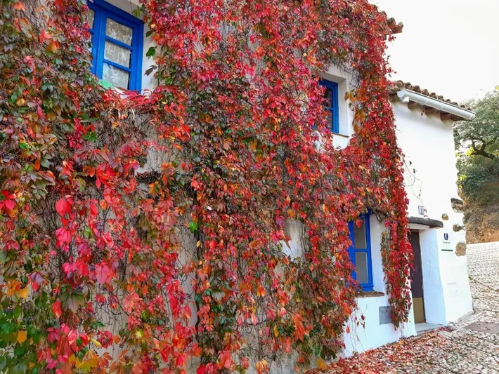 Casa de vacaciones para 3 personas, con jardín y vistas, Familias con niños - 1