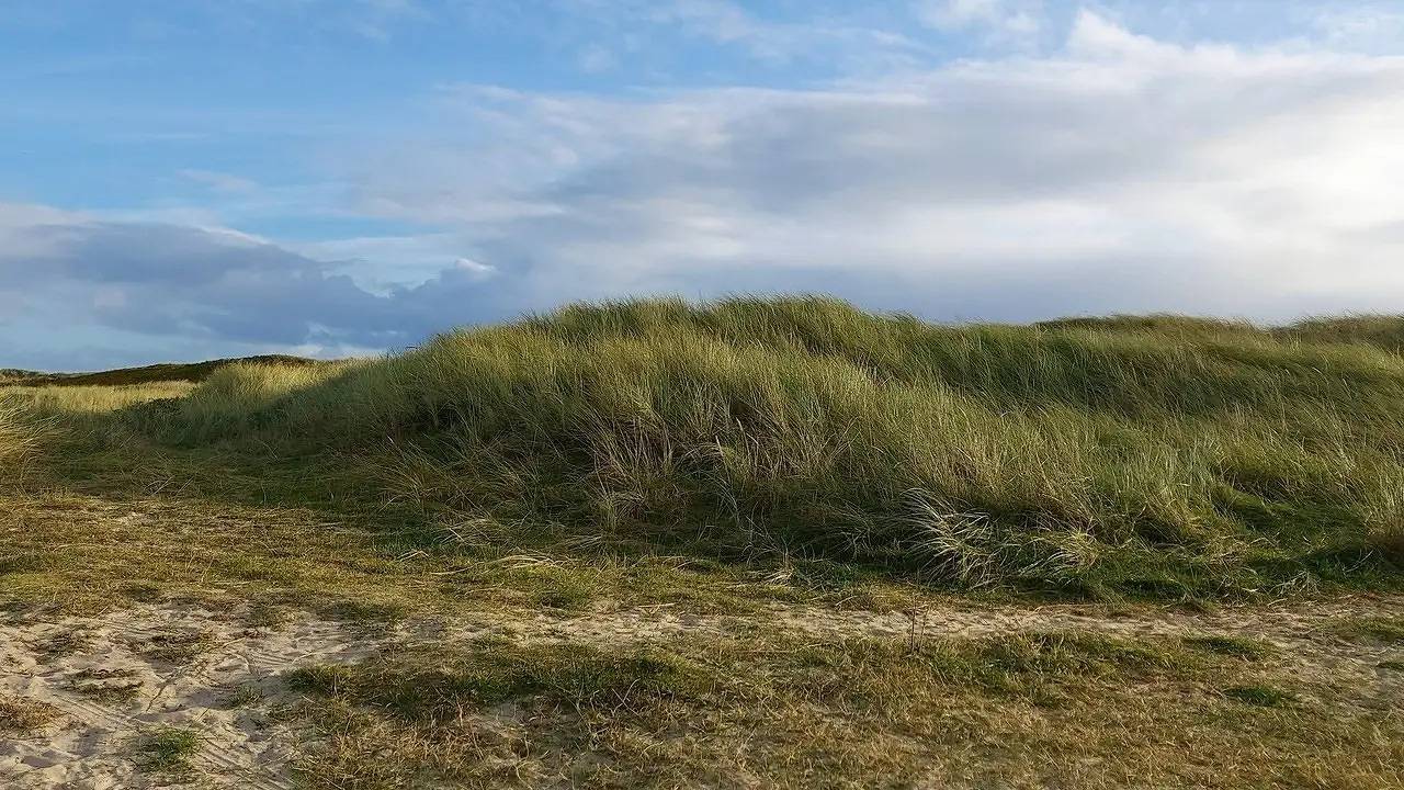 Ferienhaus für 6 Personen (120 m²) in Blåvand in Blåvand, Région de Varde