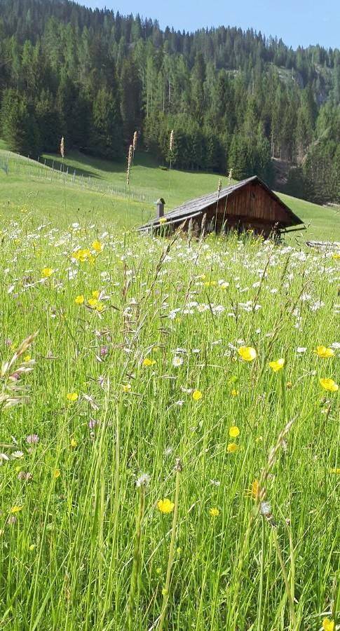 B&B Schlossar Haus in Sappada, Karnischer Hauptkamm
