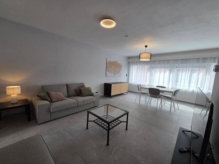 Gîte pour 3 personnes, avec terrasse dans Gosselies - 4