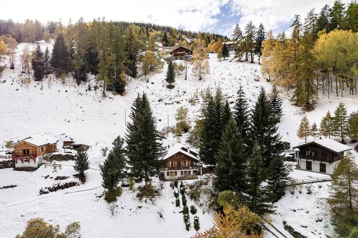 Chalet Chant de la Foret in La Tzoumaz, Riddes