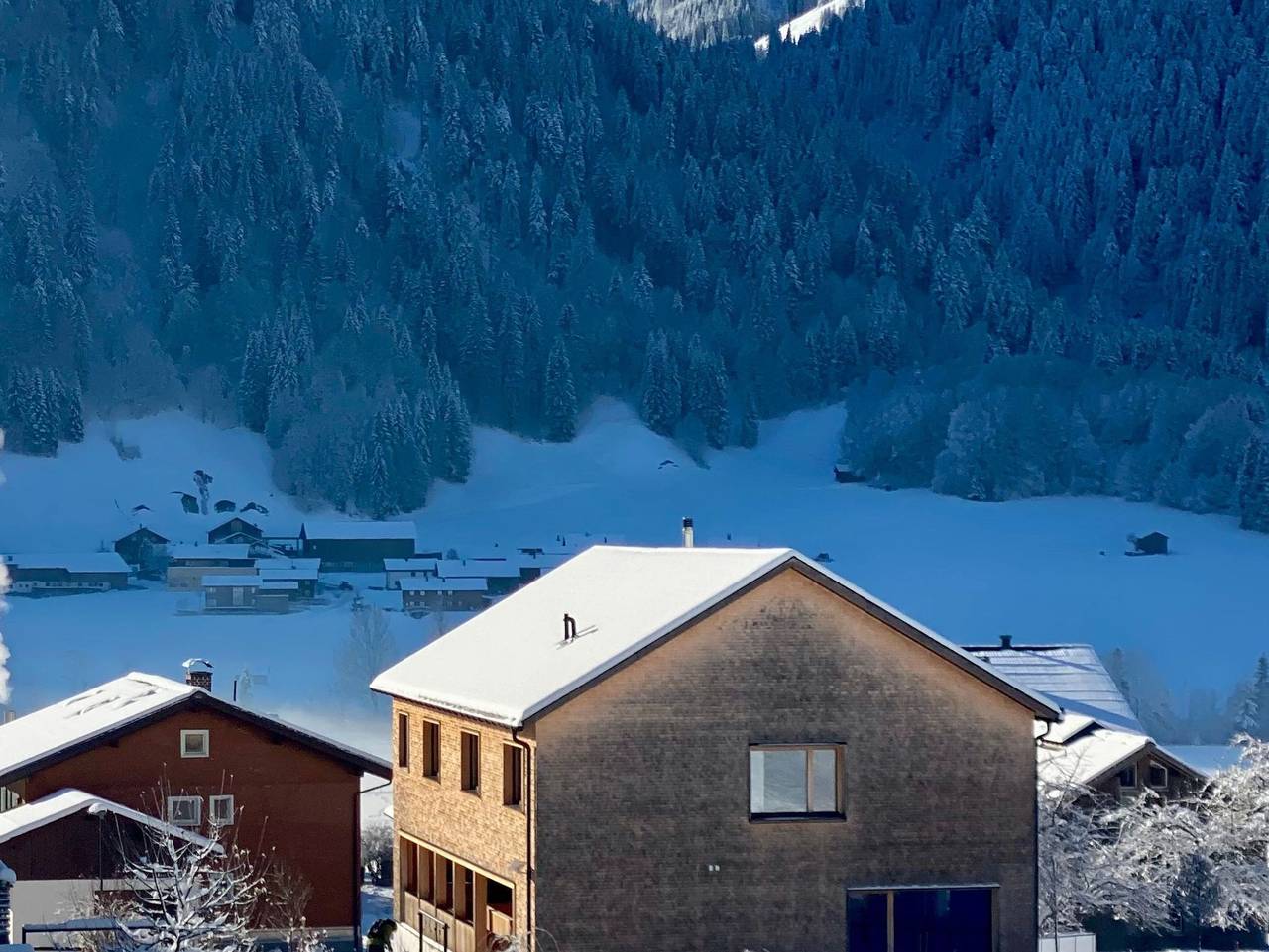 Ganze Ferienwohnung, Appartement Holderstauden in Diedamskopf, Schoppernau