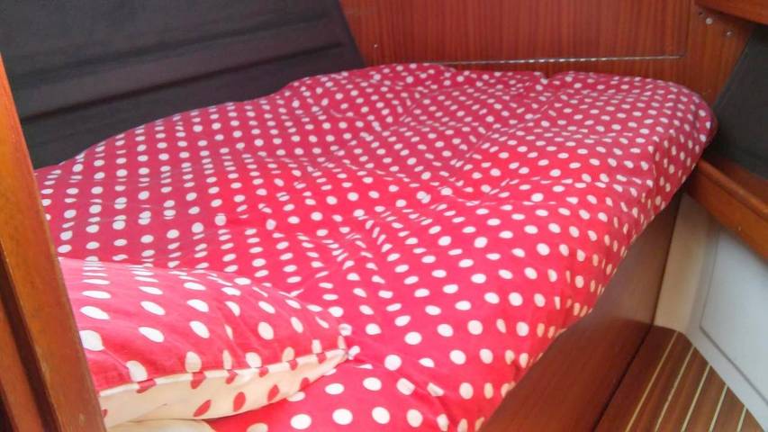 Bateau pour 5 personnes, avec terrasse en Nouvelle-Aquitaine - 4