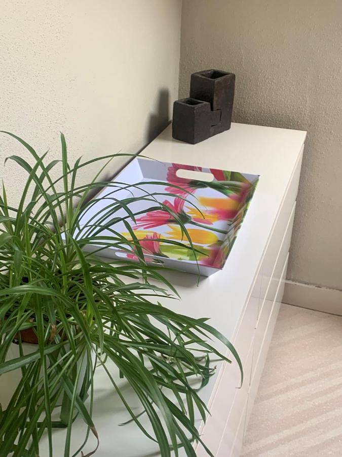 Gîte pour 6 personnes à Schaerbeek - 2