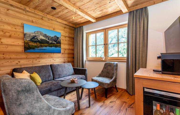 Ferienhaus für 8 Personen, mit Sauna und Garten sowie Terrasse, mit Haustier in Großarl - 4