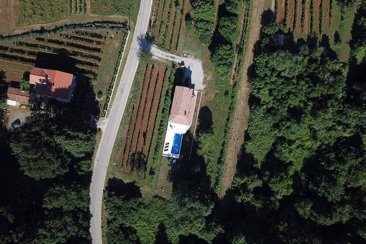 Ferienhaus mit Pool, umgeben von Wald und Weinbergen für 7, Istrien in Istrien