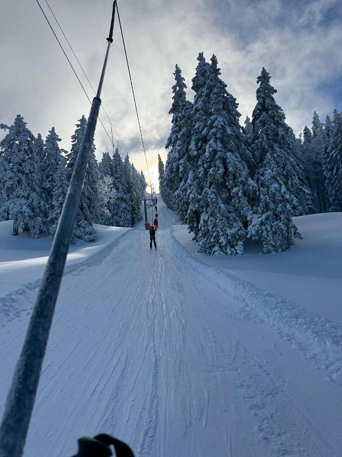 Gîte pour 7 personnes, avec piscine ainsi que terrasse et vue, animaux acceptés dans Lélex - Crozet - 2