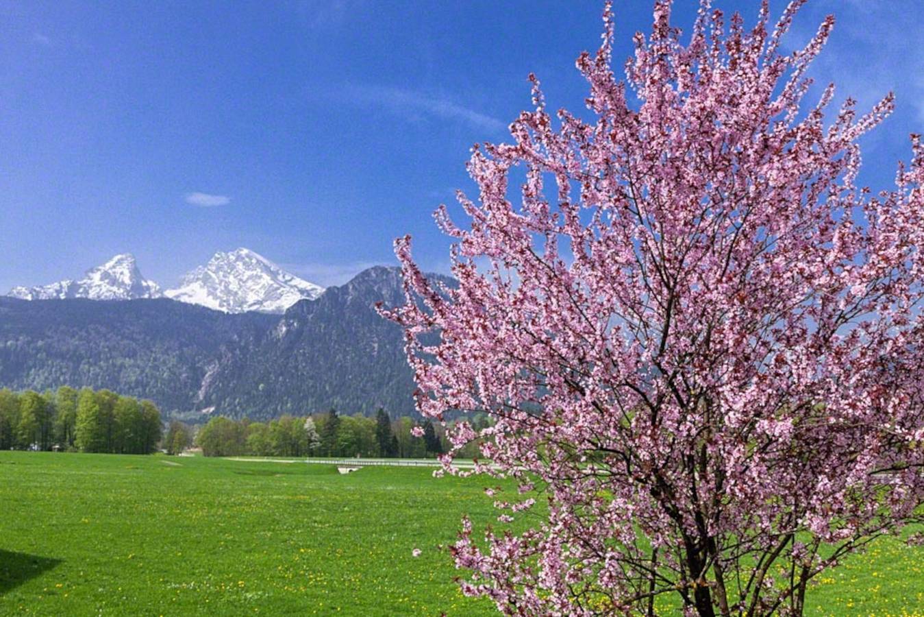 Ferienwohnung Triembachhof - Ferienwohnung 3 für 2 bis 4 Personen, 63 qm, 2 Schlafzimmer, 2 Bäder, Balkon in Göllstock, Schönau am Königssee