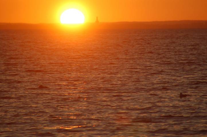 Ferienwohnung für 6 Personen, mit Garten, kinderfreundlich in Klütz - 2