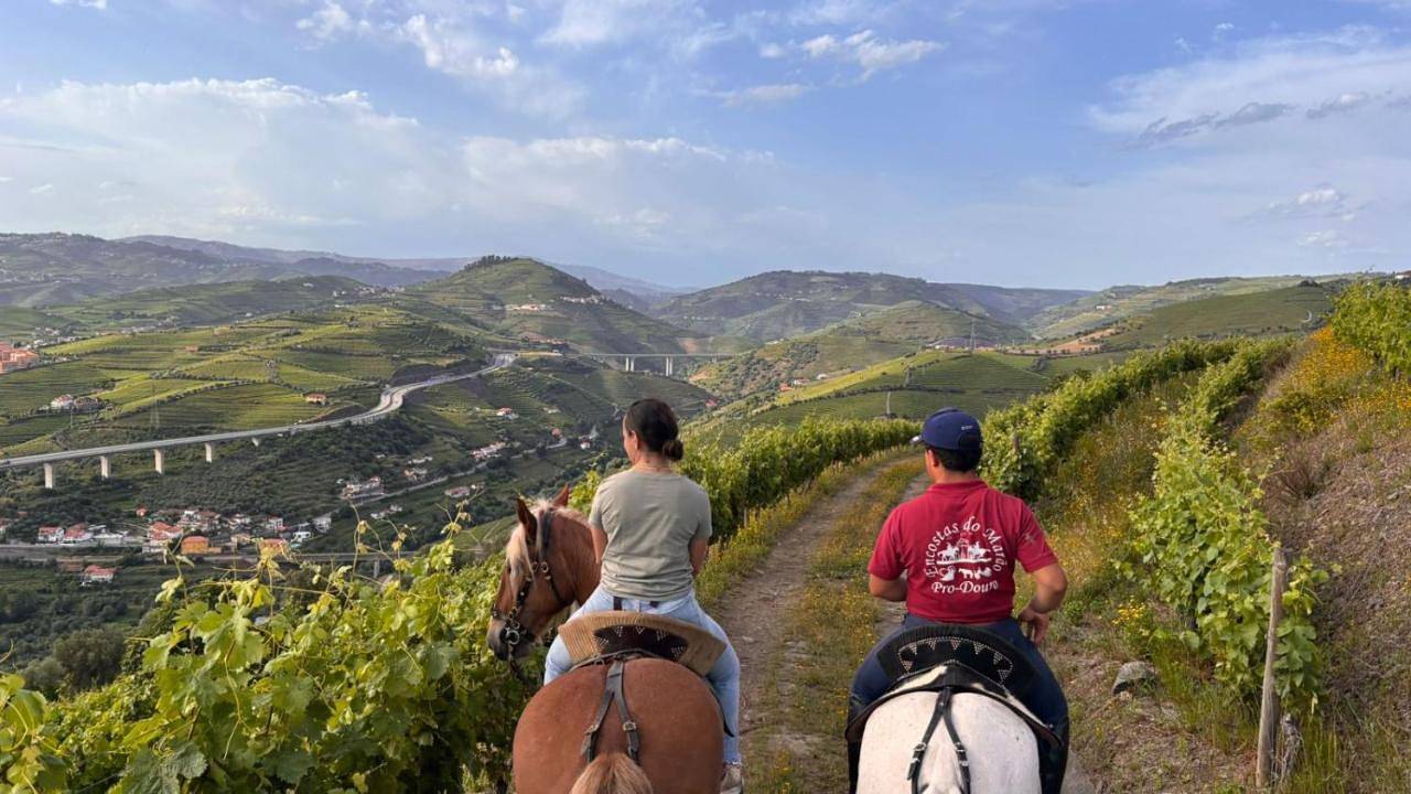 Quinta do Valdalágea in Lamego, Vale do Douro