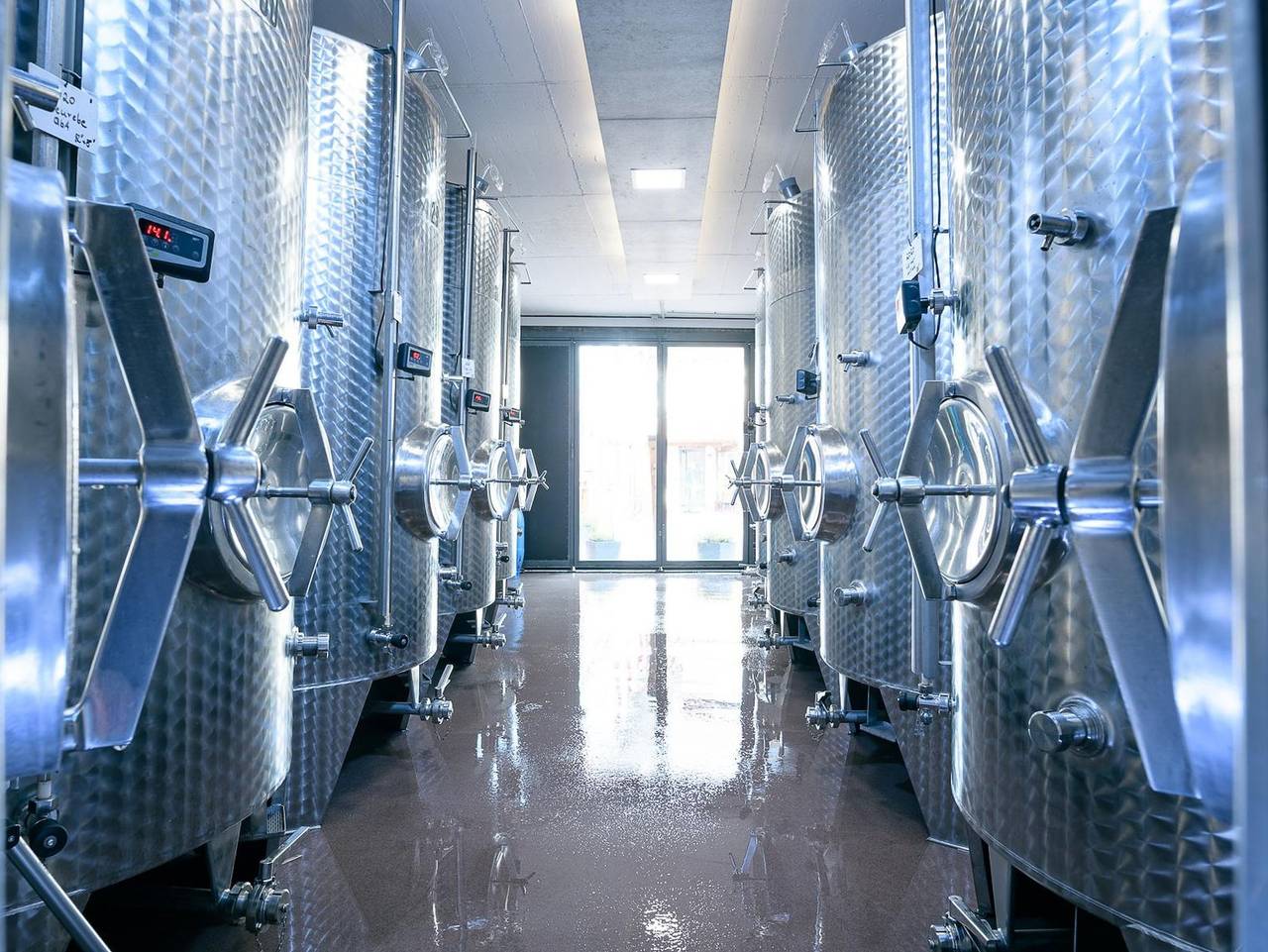 Weingut Gästehaus Hechtmann - Doppelzimmer "Rittersberg" in Ilbesheim bei Landau in der Pfalz, Südliche Weinstraße