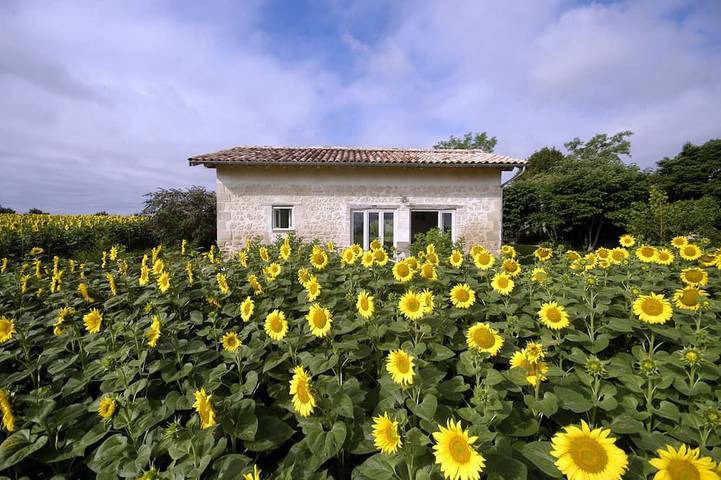 Gîte pour 2 personnes, avec terrasse et jardin, animaux acceptés