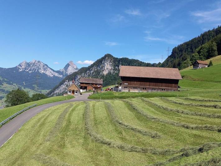 Ferienwohnung für 5 Personen, mit Garten und Ausblick am Vierwaldstättersee - 4