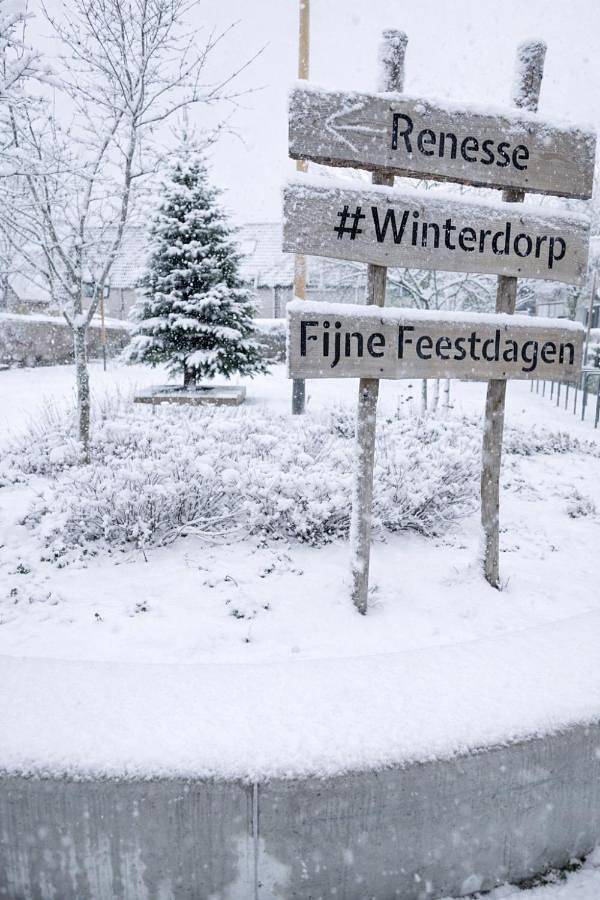 Chambre d’hôte pour 2 personnes, avec jardin à Renesse - 3