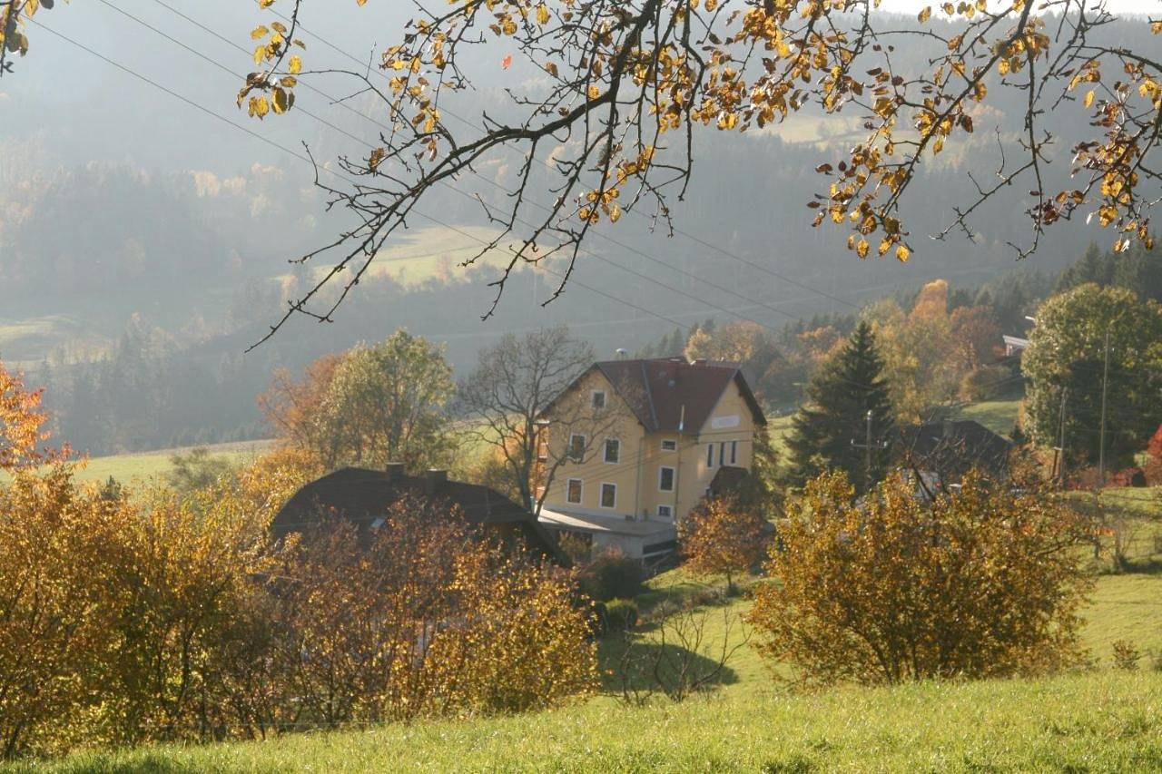 Ganze Wohnung, Alte Volksschule - schual in gradne in Liebenfels, Mittelkärnten