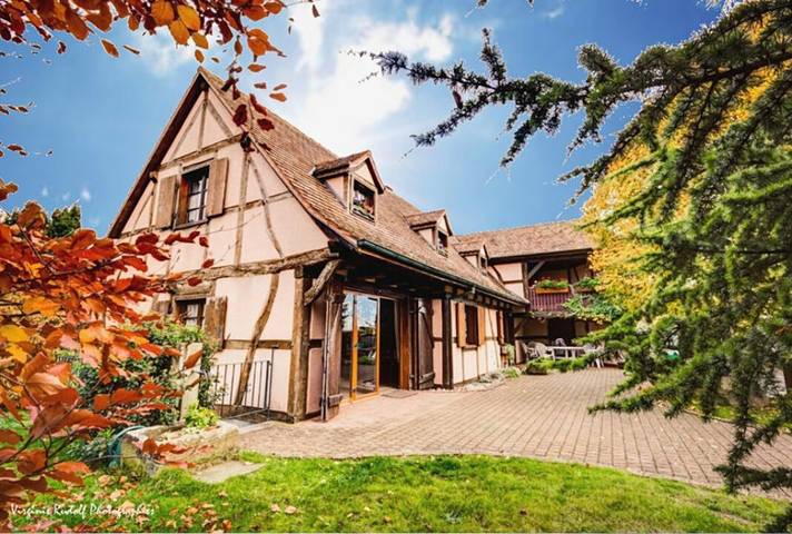 Gîte pour 11 personnes, avec jardin et balcon dans Grand Est - 3