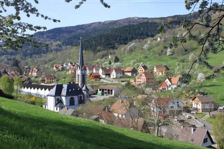 Gîte pour 6 personnes, avec terrasse et jardin dans Schnepfenried