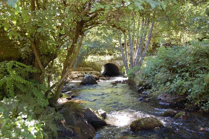 Gîte pour 4 personnes, avec terrasse et vue ainsi que vue sur le lac et jardin, animaux acceptés à Arleuf - 2