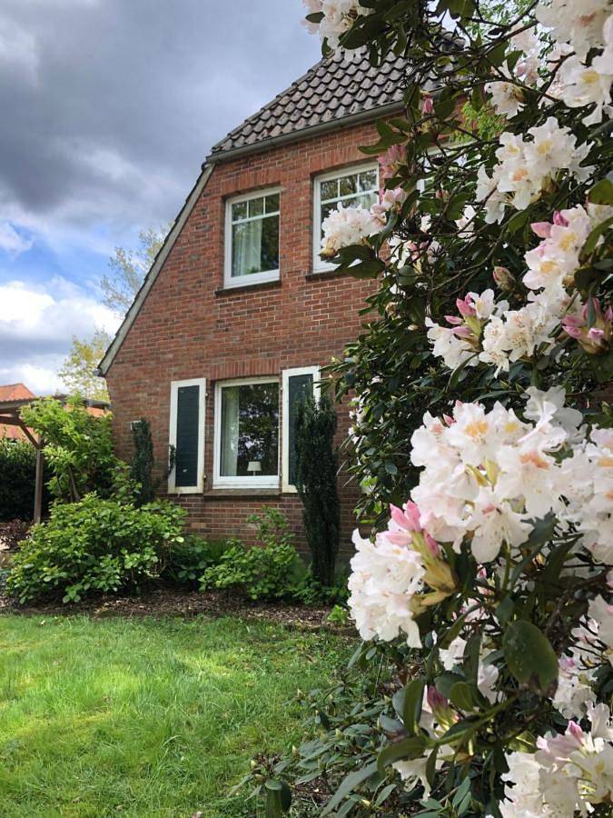Ferienwohnung für 5 Personen, mit Terrasse und Ausblick im Oldenburger Münsterland - 3