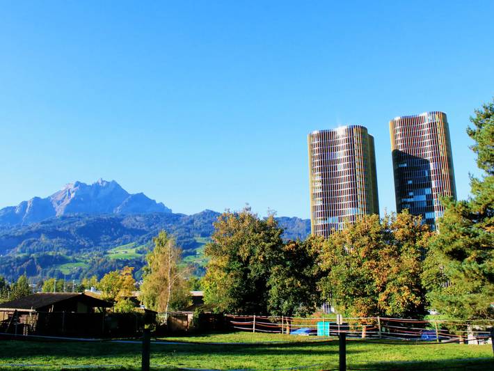 Ganze Wohnung, 1 Pièce 4 Personnes in St. Niklausen LU, Luzern