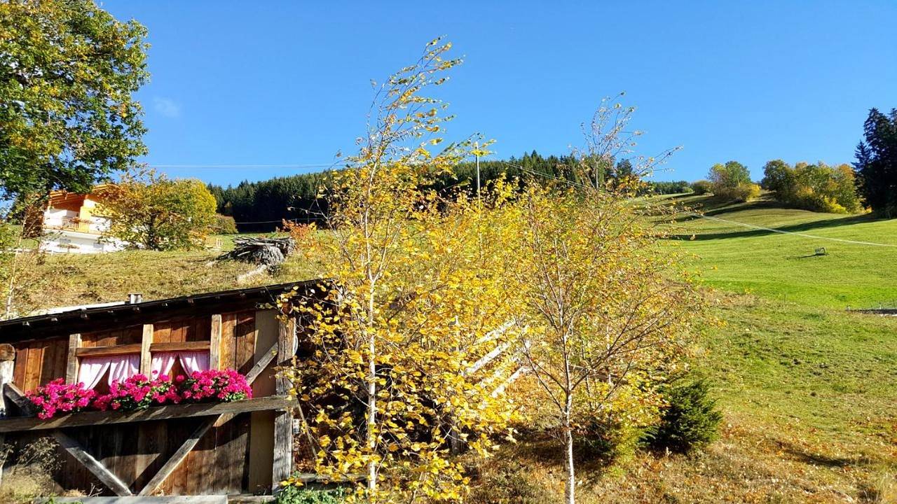 Pension Verdinserhöhe in Verdins, Schenna