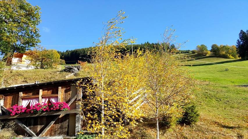 BnB für 2 Personen, mit Pool und Garten sowie Ausblick und Sauna, mit Haustier in Südtirol - 3