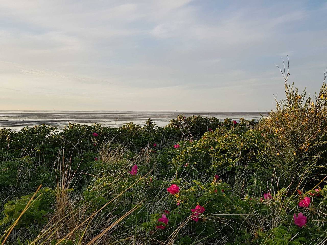 Ganze Ferienwohnung, Residenz Atlantic - Atl-602 - Apartment im 6. Stock mit Panorama-Meerblick in Döse, Cuxhaven