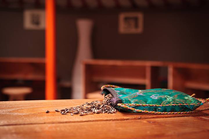 Chambre d’hôte pour 4 personnes, avec sauna et jardin dans Parc Naturel Régional de Millevaches en Limousin - 4