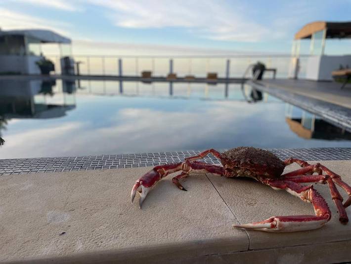 Chambre d’hôte pour 2 personnes, avec piscine ainsi que terrasse et jardin à Oualidia - 2