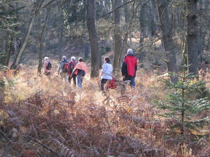 Gîte pour 3 personnes, avec jardin et vue, animaux acceptés à Roetgen - 2
