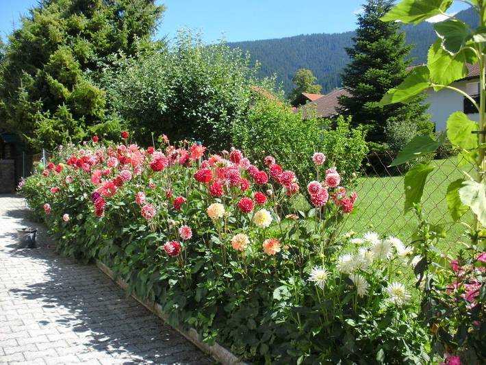 Ferienhaus für 4 Personen, mit Garten und Terrasse, mit Haustier in der Zugspitzregion - 2
