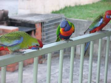 Holiday Home for 6 People in Hyams Beach, Jervis Bay, Photo 4
