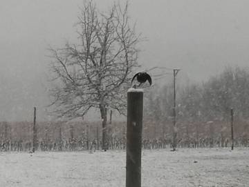 Hotel für 4 Personen in Oedheim, Schwaben, Bild 1