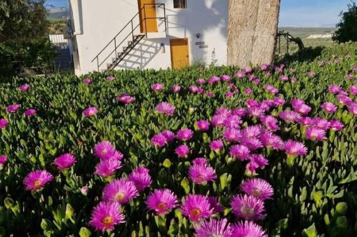 Maison de vacances pour 4 personnes, avec jardin ainsi que balcon et jacuzzi - 1