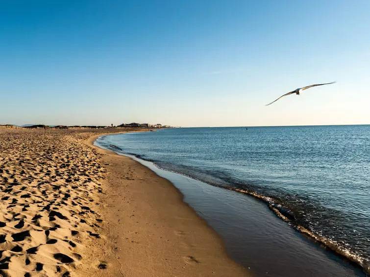 Apartamento entero, 2 Pièces 4 Personnes in Canet-en-Roussillon, Côte d'Améthyste