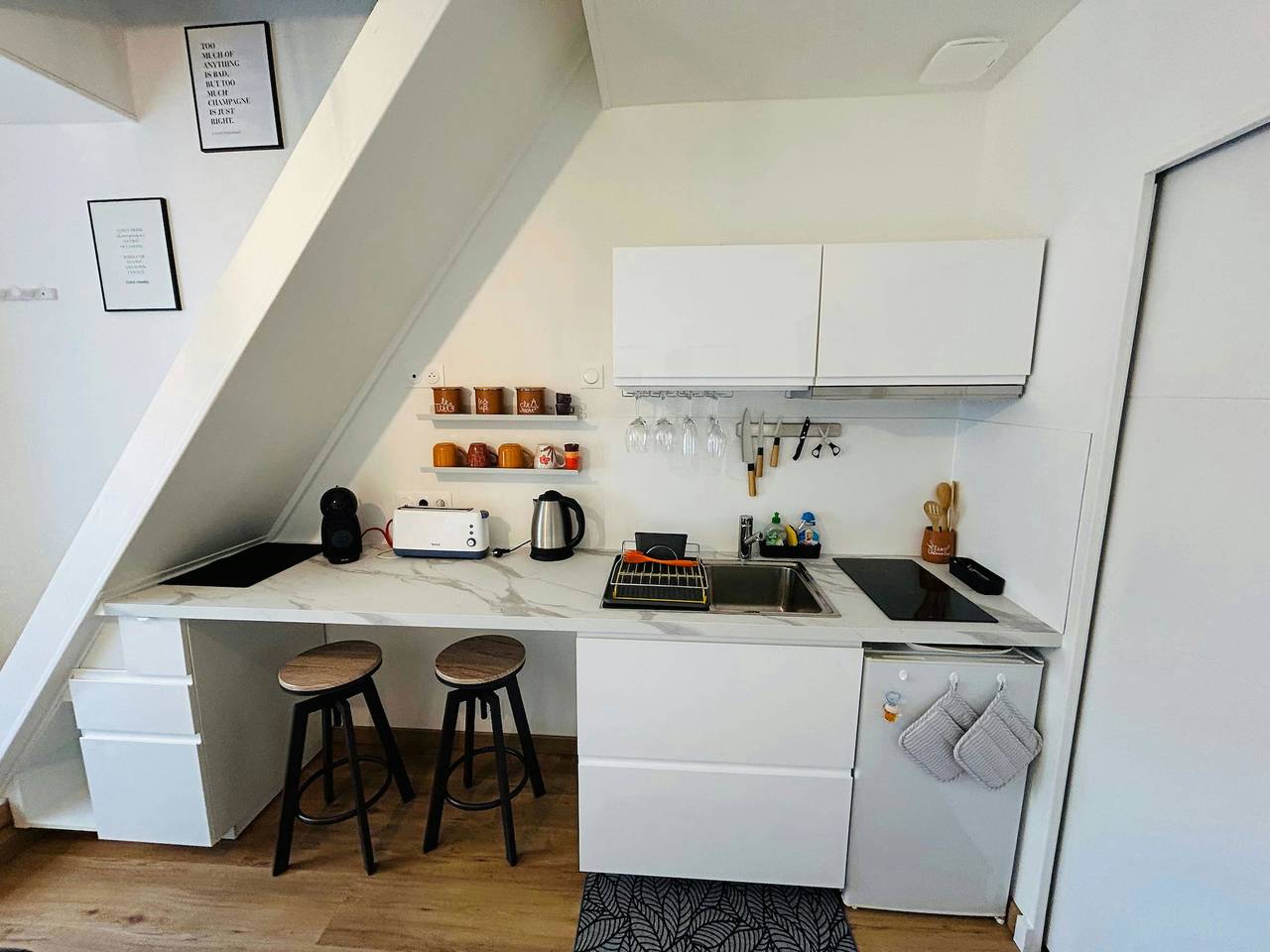 Appartement entier, La Suite Marie Stuart | Hypercentre in Reims, Marne