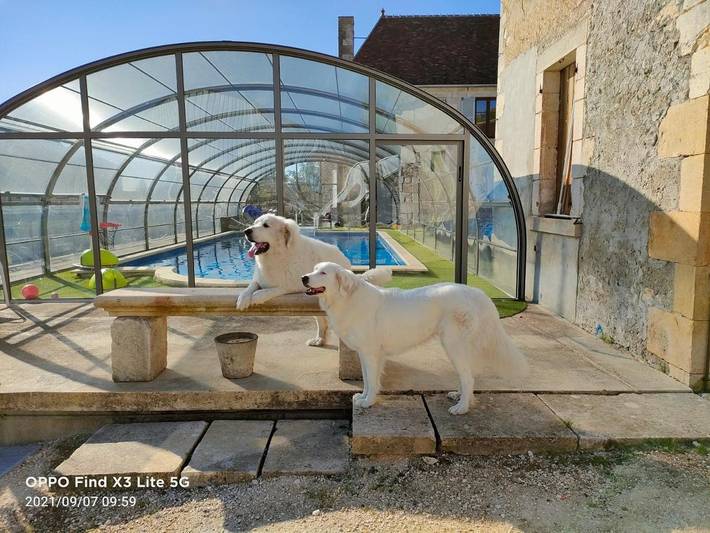 Maison d’hôte pour 2 personnes, avec terrasse ainsi que piscine et vue, animaux acceptés