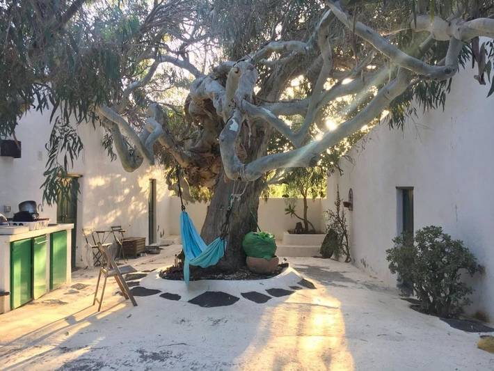 Chambre d’hôte pour 2 personnes, avec Terrasse ainsi que Jardin et Vue