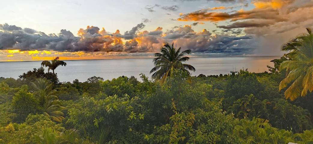 Villa pour 6 personnes, avec terrasse ainsi que piscine et jardin en Guadeloupe - 3