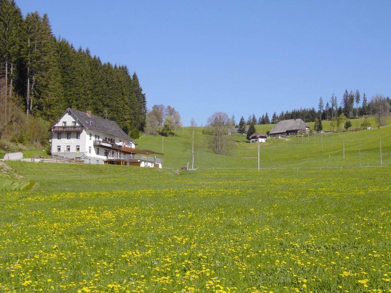One-Bedroom Apartment with Balcony in Schwärzenbach (Titisee-Neustadt), Titisee-Neustadt