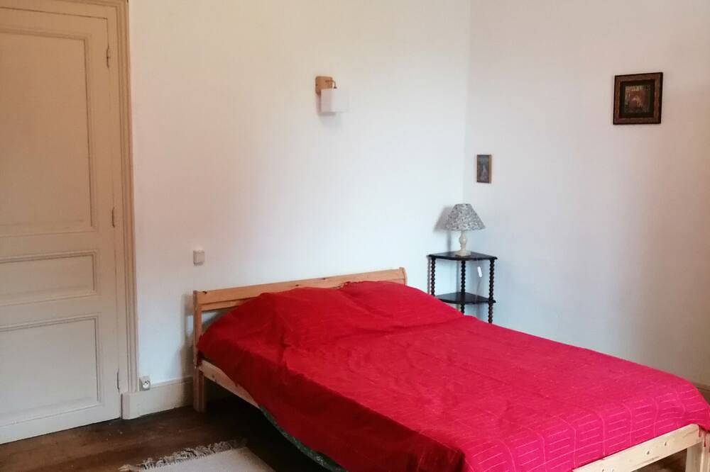Valence en Poitou grande maison centre ville avec jardin - 8 à 14 personnes in Couhé, Vienne (France)