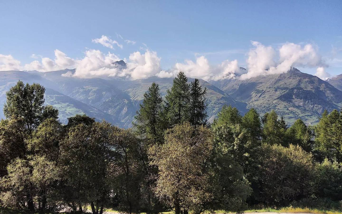 Appartement entier, 2 pièces 4 personnes à Arc 1600 in Arc 1600, Bourg-Saint-Maurice
