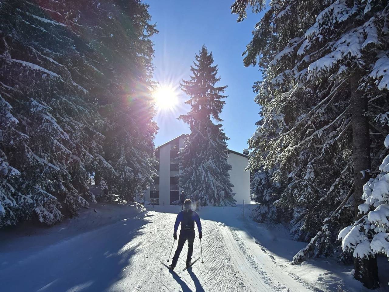 Ganze Wohnung, Belmont Seegarten in Vaz/Obervaz, Plessur Alpen