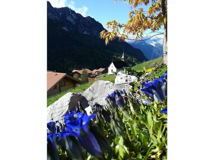 Ferienwohnung mit 1 Schlafzimmer in Habkern, Verwaltungskreis Interlaken-Oberhasli